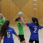 2016_01_16 Landesliga Jugend 15